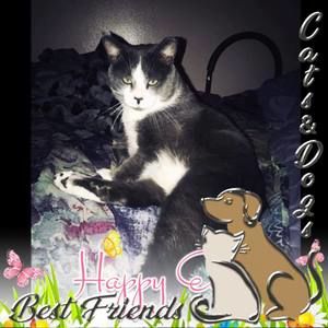 Meet your Posher, Dawn